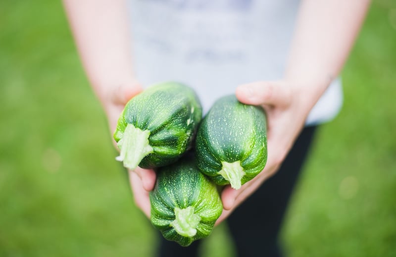 Summer Vegetables